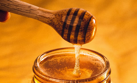 Stingless Bee Honey