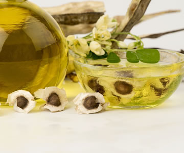 Moringa - The Miracle Tree -